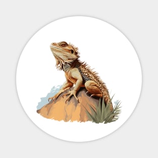 Pogona Magnet